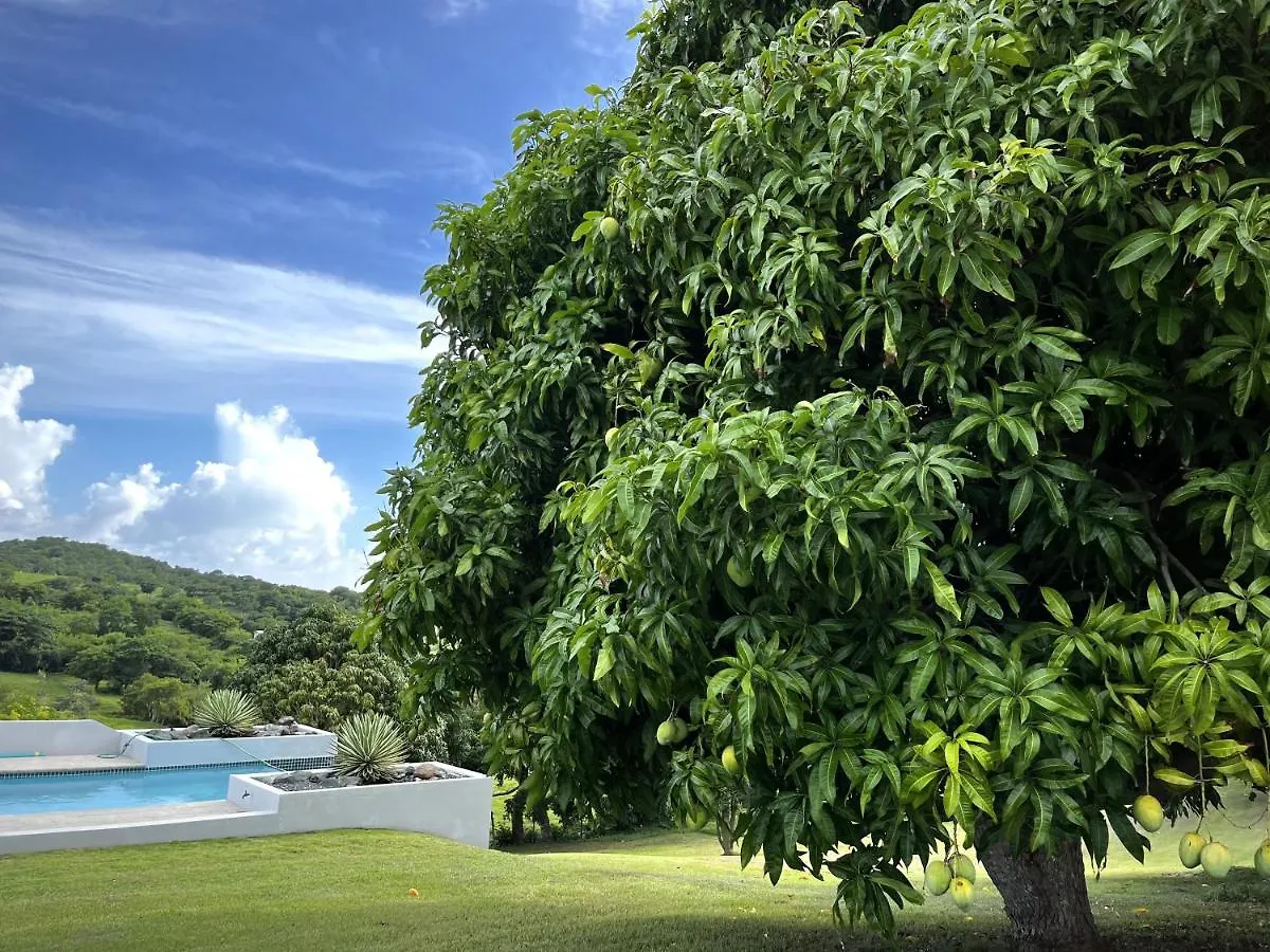 Lejos Eco Retreat Hotel Vieques 0*,  Puerto Rico